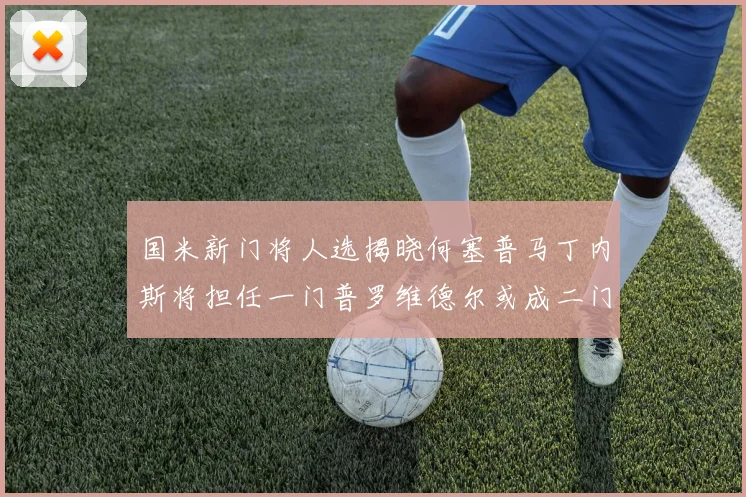 国米新门将人选揭晓何塞普马丁内斯将担任一门普罗维德尔或成二门